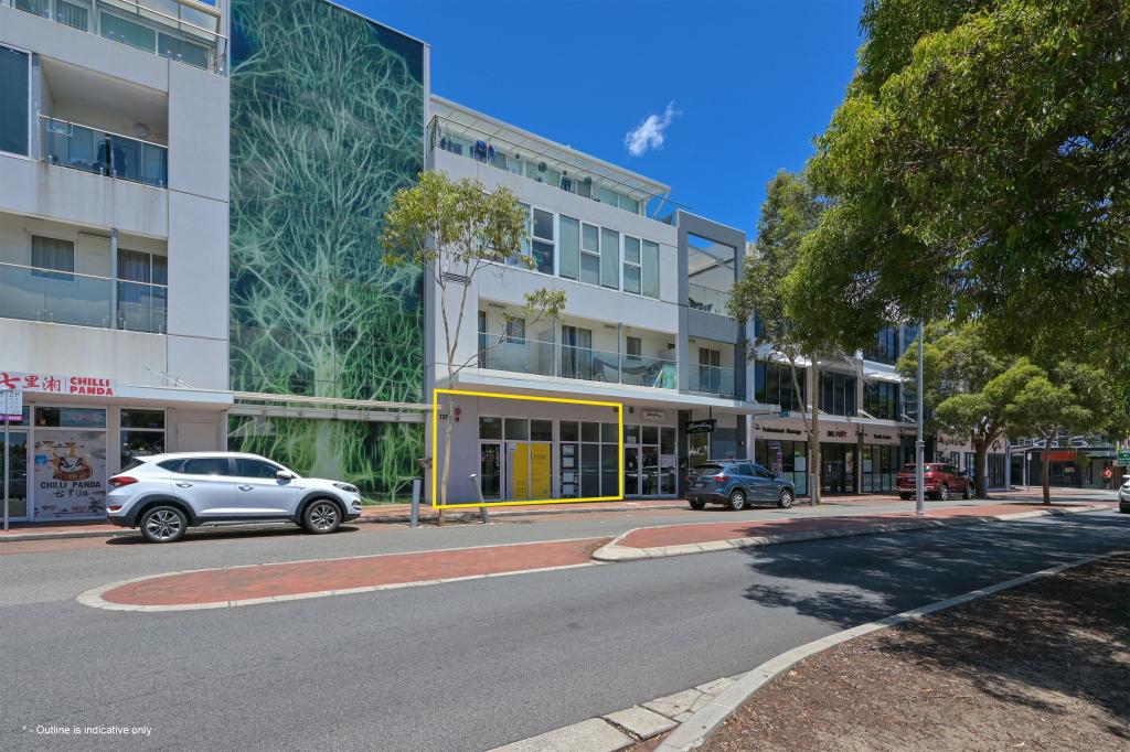 3/137 Newcastle St, Perth, WA 6000