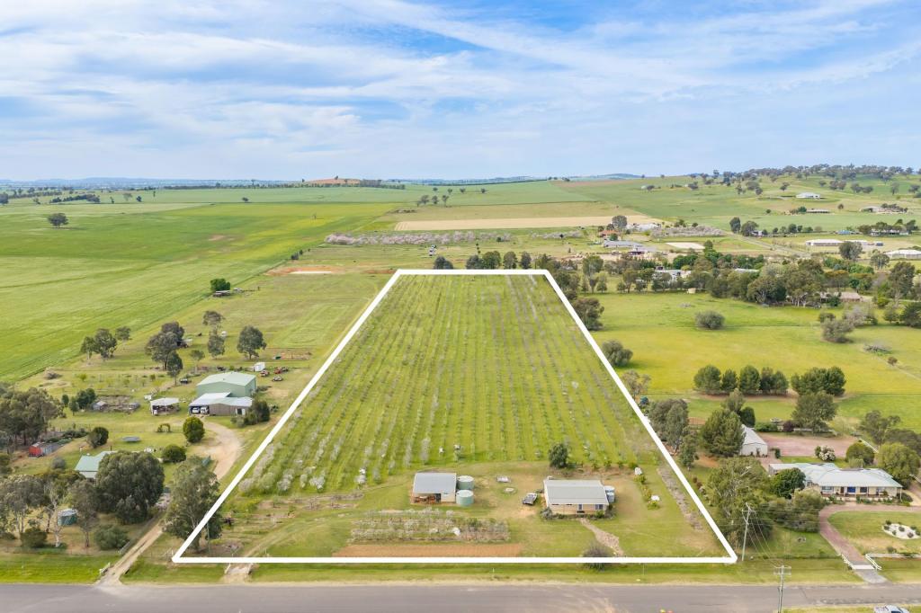 58 Longs Corner Rd, Canowindra, NSW 2804