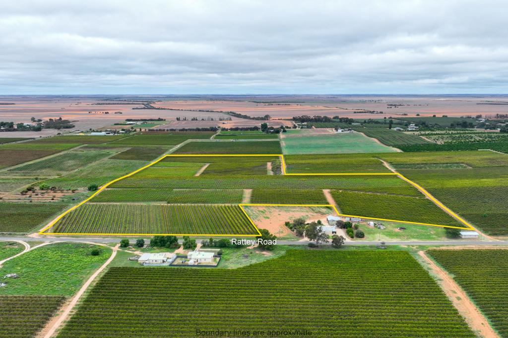 Lot 15 Rattey Rd, Loxton, SA 5333