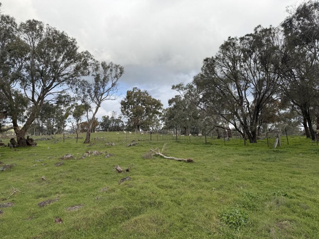 219 Sugar Loaf Hill Rd, Mount Mckenzie, SA 5353