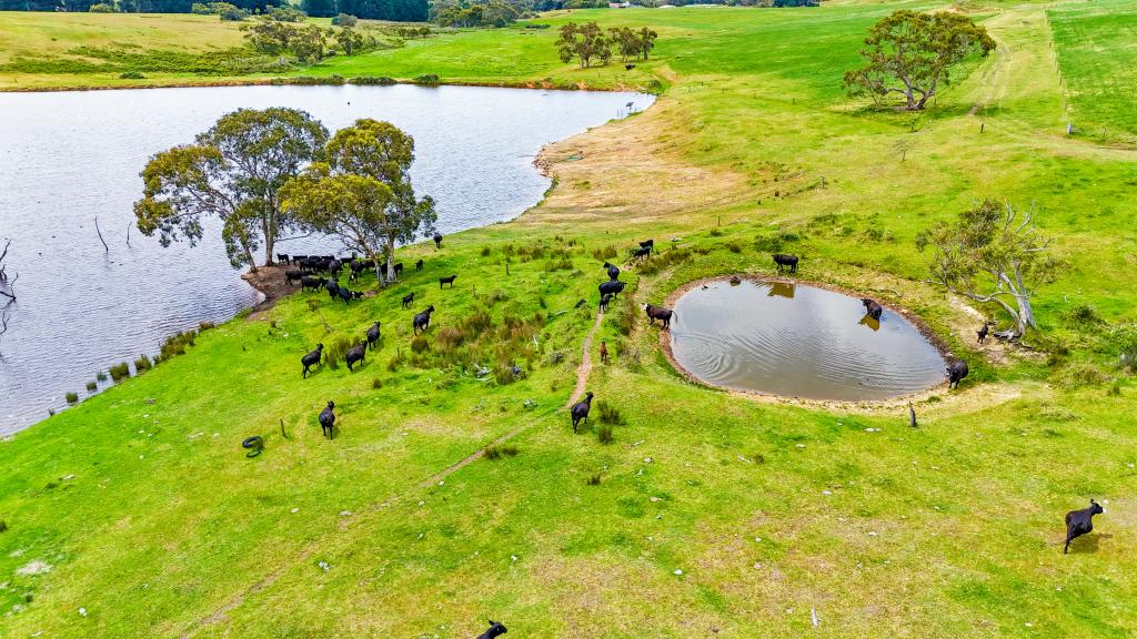 700 Cleland Gully Rd, Tooperang, SA 5255