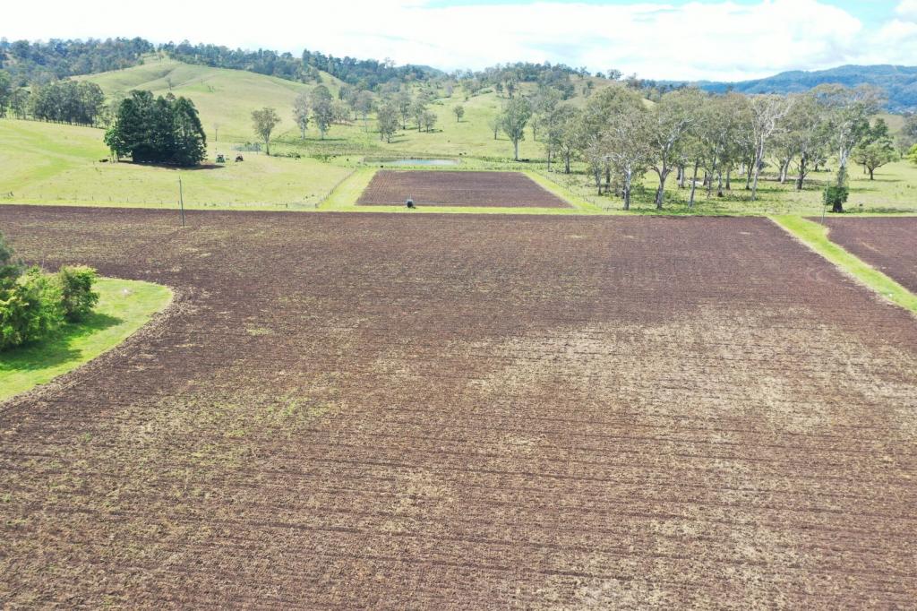 Lot 1 Sherwood St, Old Grevillia, NSW 2474