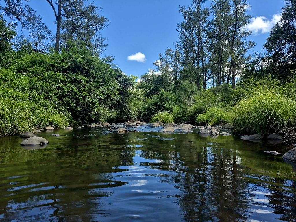 1061 Lynches Creek Rd, Wiangaree, NSW 2474