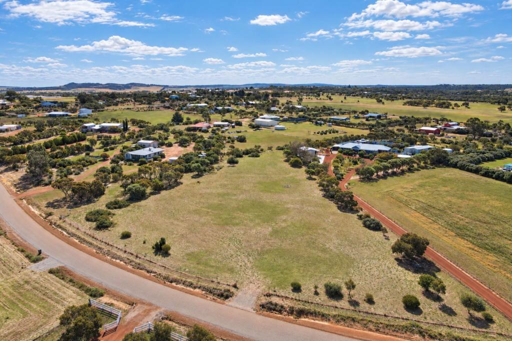 13 Stonestreet Way, Wongan Hills, WA 6603