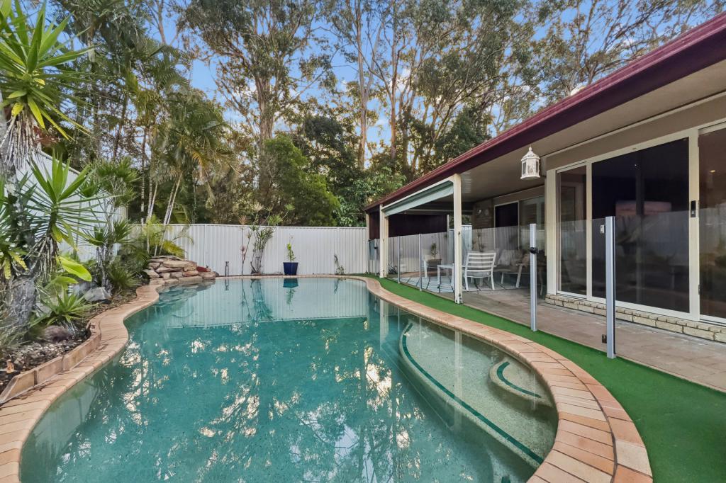 19 Fiddlewood Pl, Reedy Creek, QLD 4227