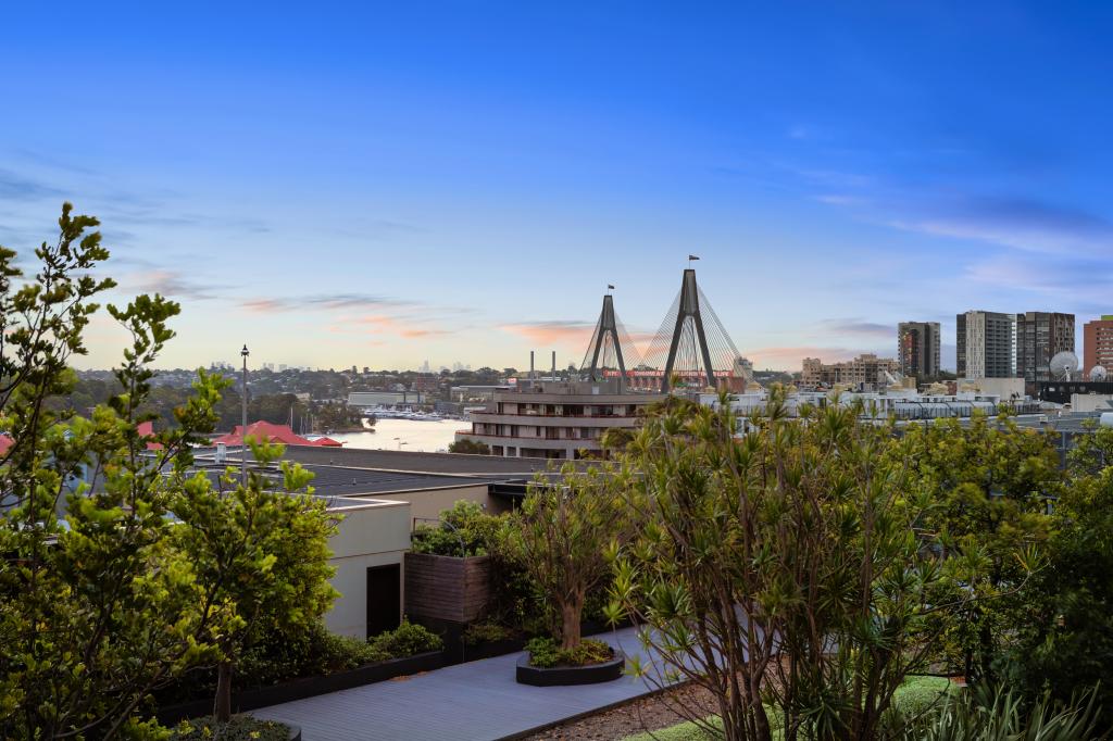 1125/243 Pyrmont St, Pyrmont, NSW 2009