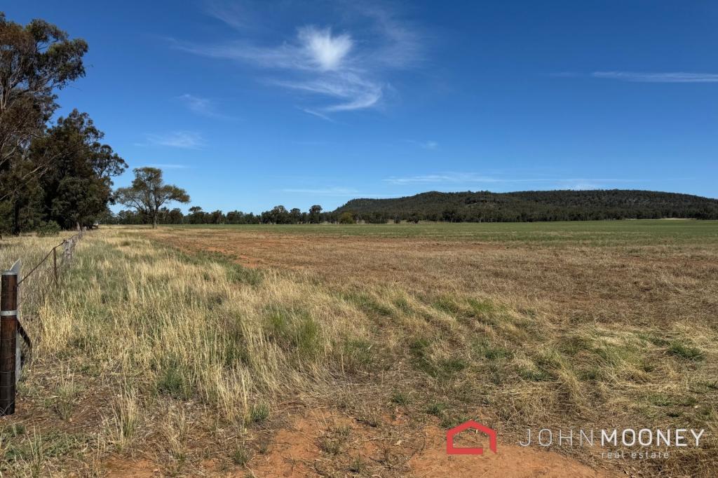 203 SLOCUMS LANE, FARGUNYAH, NSW 2656