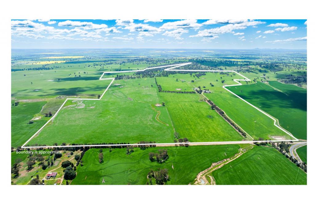 341 Reynella Rd, Walbundrie, NSW 2642