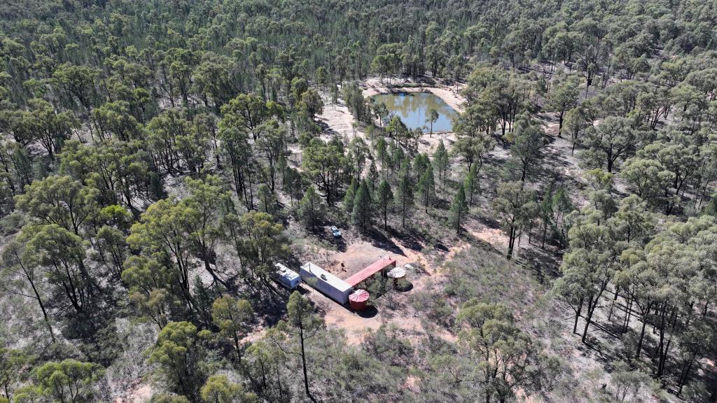 3l Wandarra Rd, Brocklehurst, NSW 2830