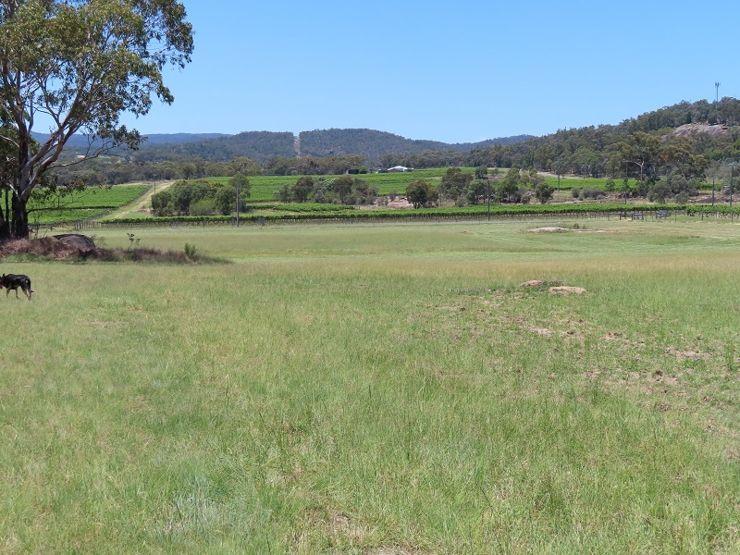 Bents Rd, Ballandean, QLD 4382