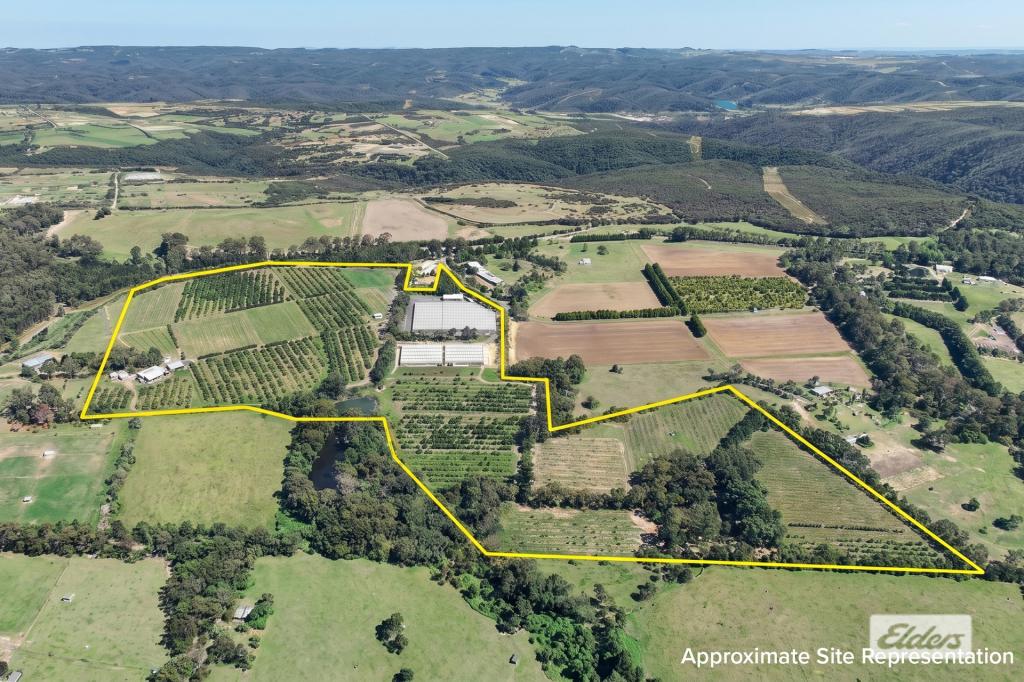 430 George Downes Dr, Central Mangrove, NSW 2250