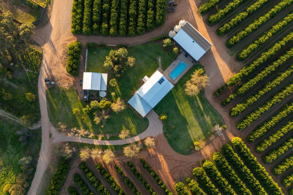 46 Hollins Rd, Red Cliffs, VIC 3496