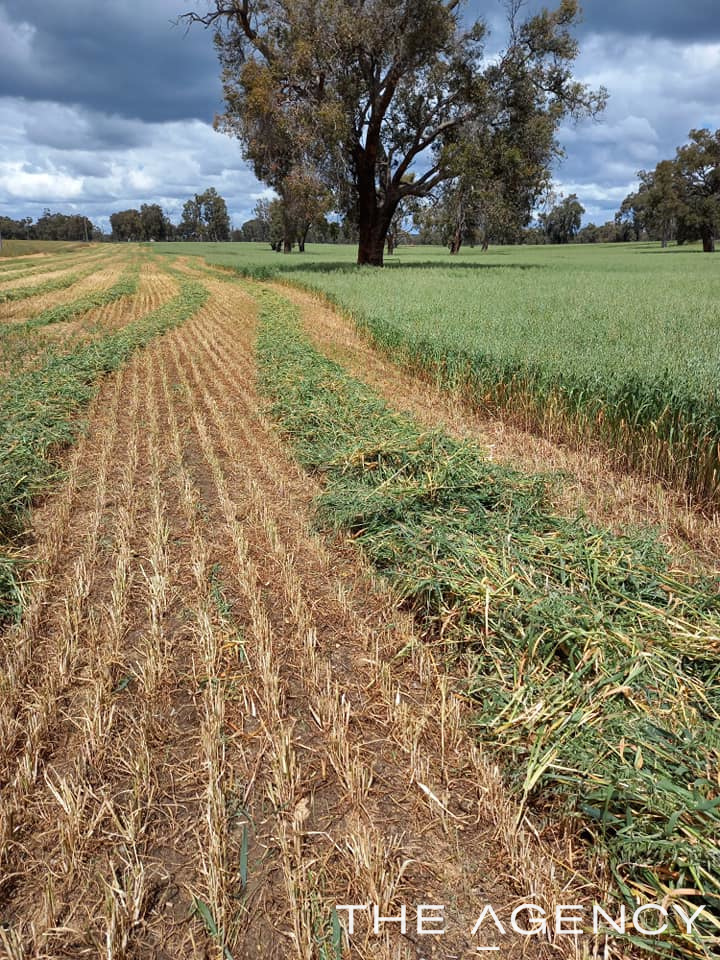 Lot 102 Jingaling Brook Rd, Morangup, WA 6083