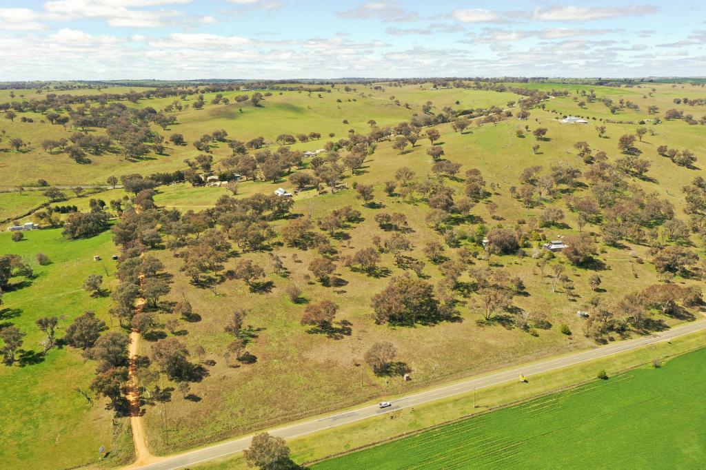 2200 Murringo Rd, Murringo, NSW 2586