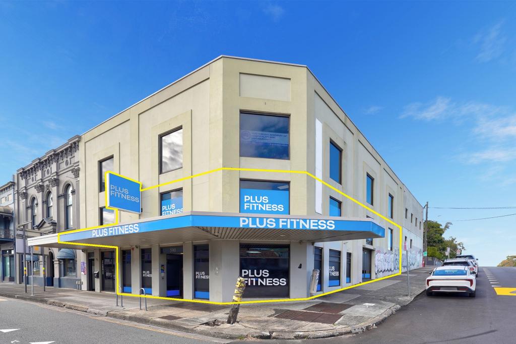 590 Parramatta Rd, Petersham, NSW 2049