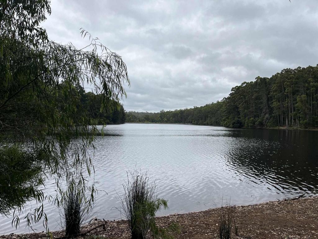 Lot 165 Karri Lane, Quinninup, WA 6258