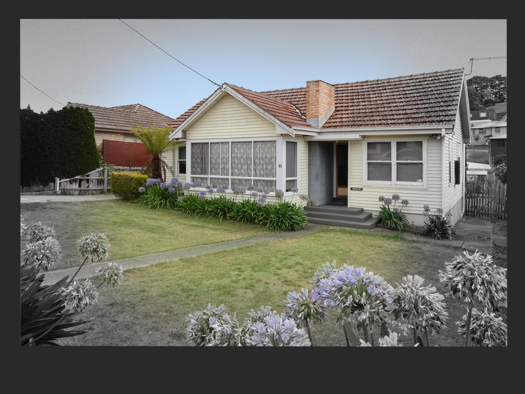 41 PUNCHBOWL RD, PUNCHBOWL, TAS 7249