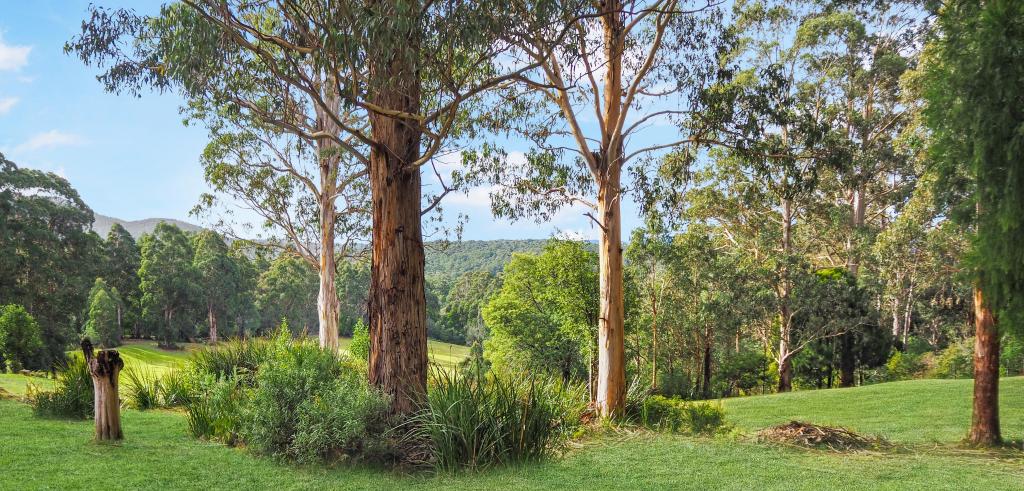 Contact Agent For Address, Icy Creek, VIC 3833