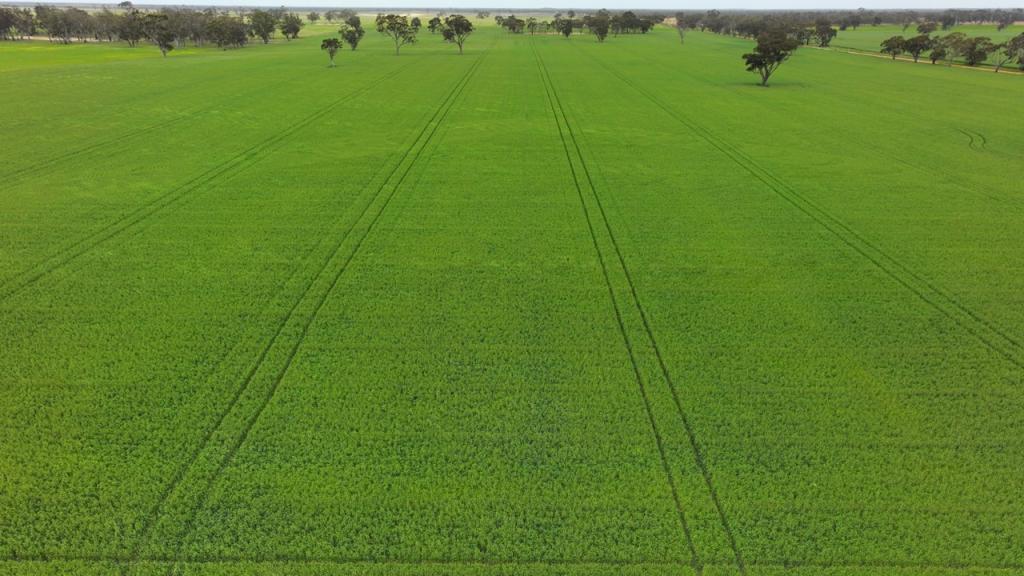 0 South Lillimur Rd, Serviceton, VIC 3420