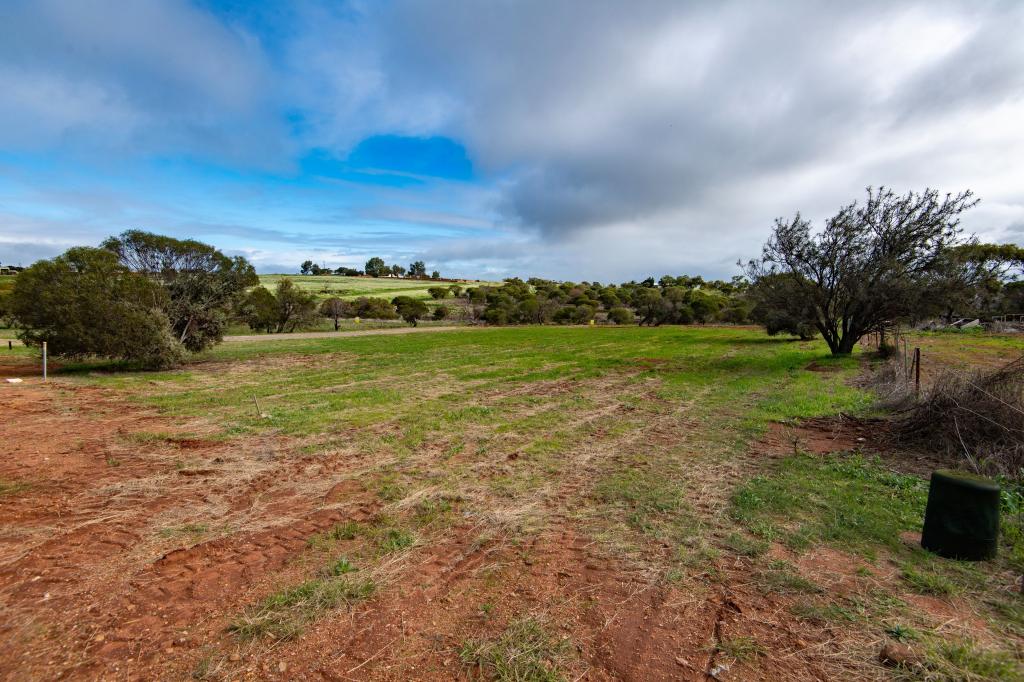 19 Forrest St, Northampton, WA 6535