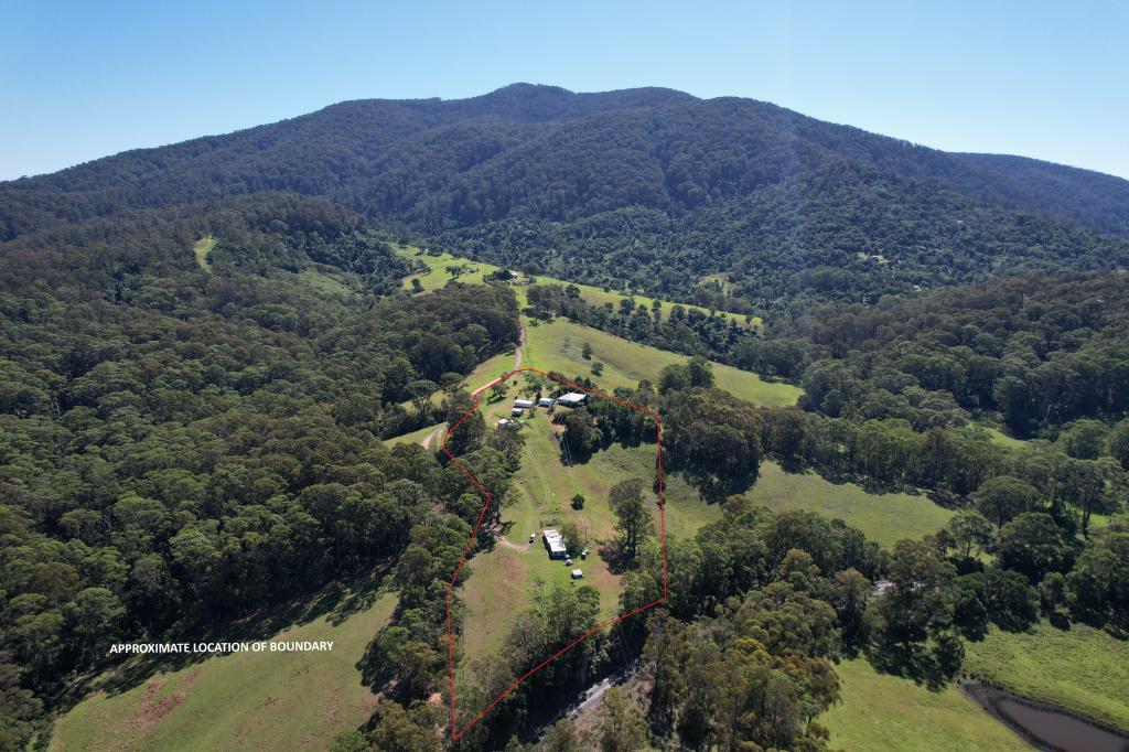 9050 Springhills Rd, Tilba Tilba, NSW 2546