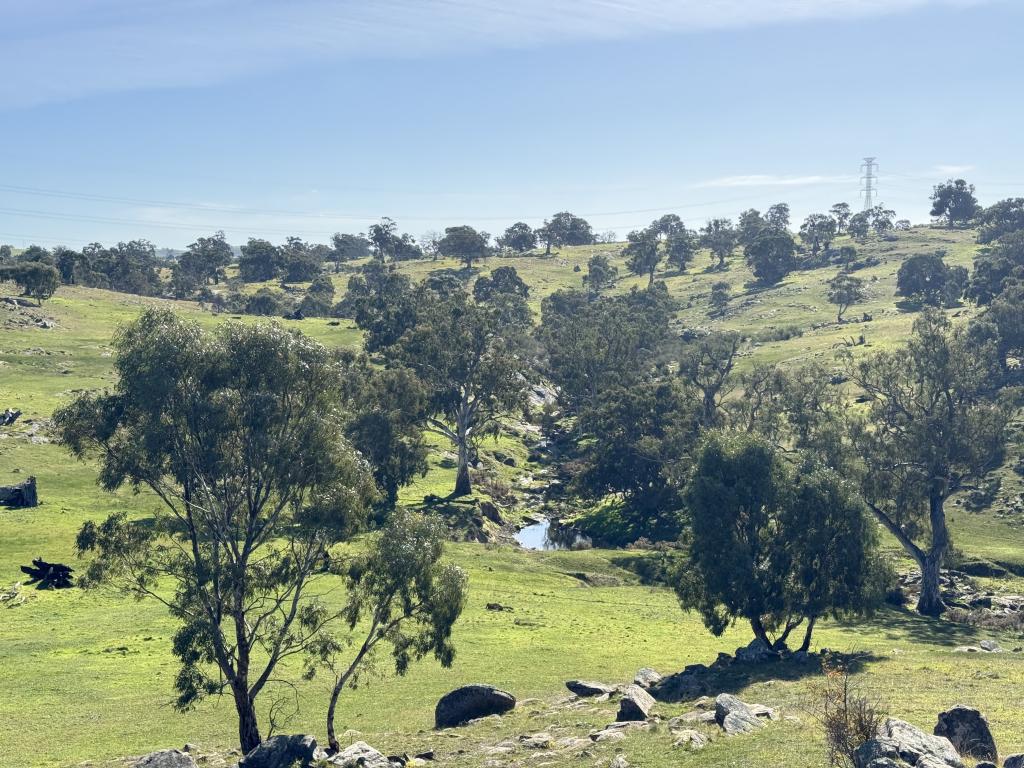 Lot 1 Brinkworth Range Rd, Tungkillo, SA 5236