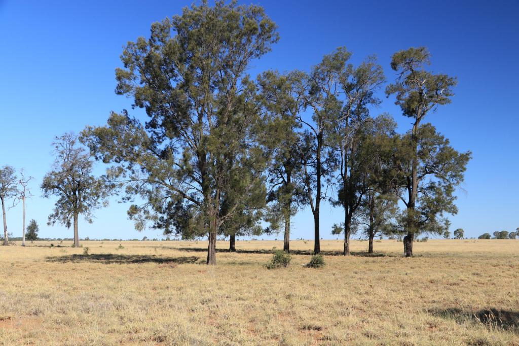 Contact Agent For Address, Tingun, QLD 4455