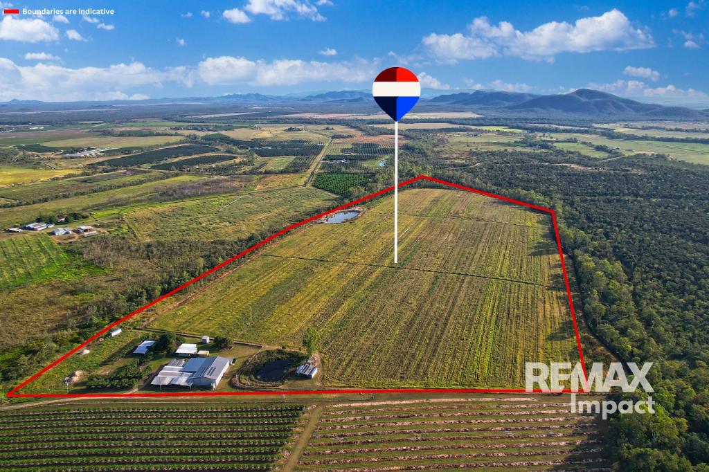 67 East Dawson Rd, Mutchilba, QLD 4872