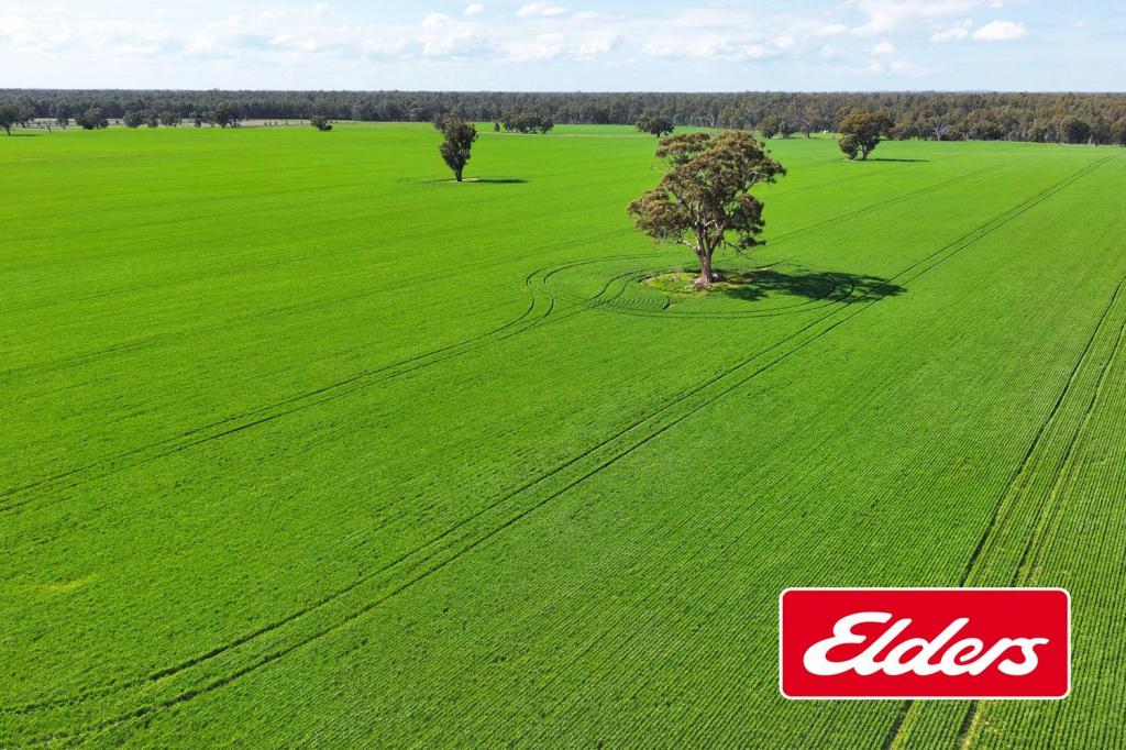 Lavis/2855 Wangaratta-Yarrawonga Rd, Bundalong South, VIC 3730