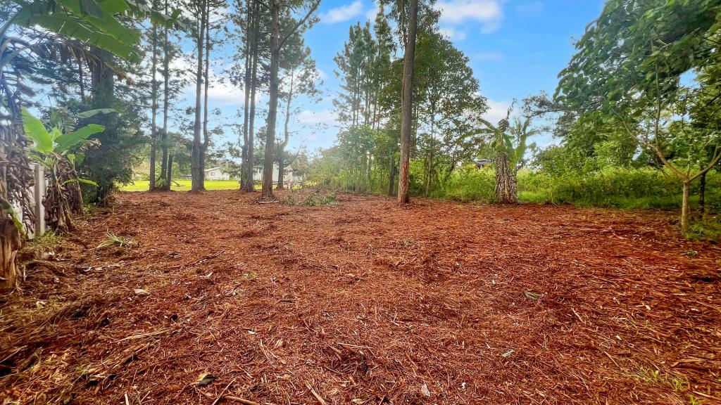 16 Jordan St, Macleay Island, QLD 4184