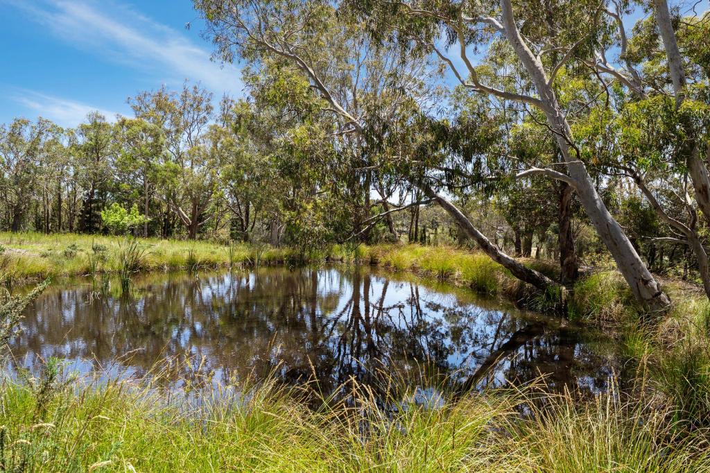 559 Mount Baw Baw Road, Baw Baw Via, Goulburn, NSW 2580