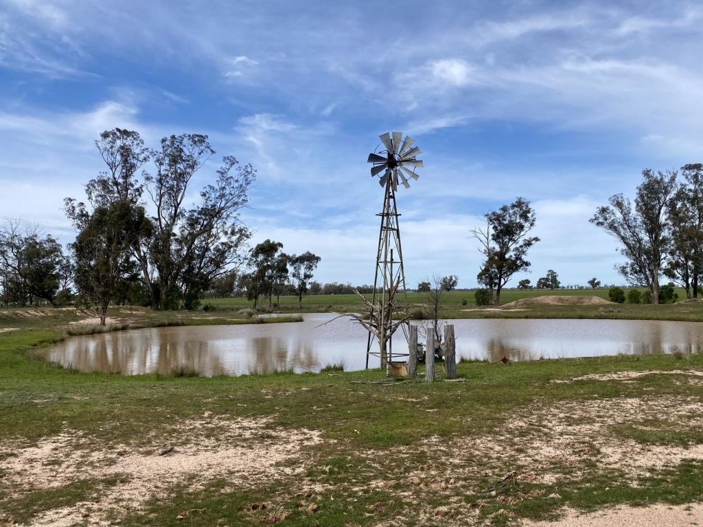 Contact agent for address, GILGANDRA, NSW 2827
