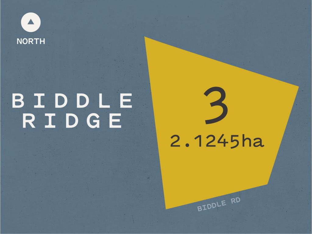 LOT PL3/93 BIDDLE RD, QUEDJINUP, WA 6281