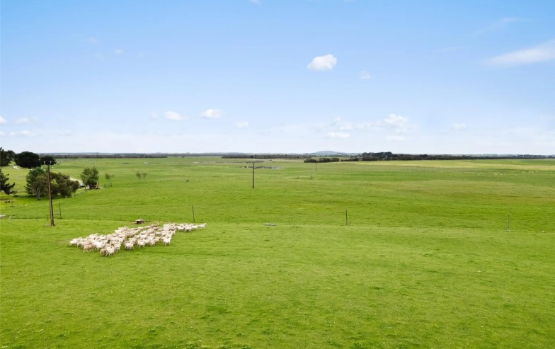 687 Mount Salt Rd, Mount Schank, SA 5291