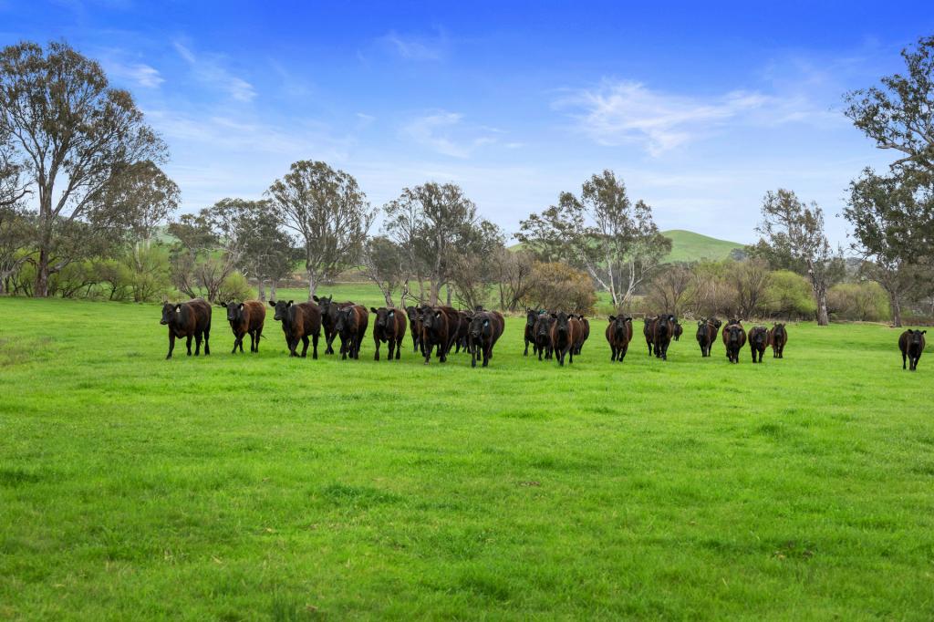 6089 Melba Hwy, Yea, VIC 3717