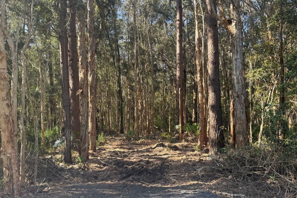 Lot 7/13 Kiora St, Pindimar, NSW 2324