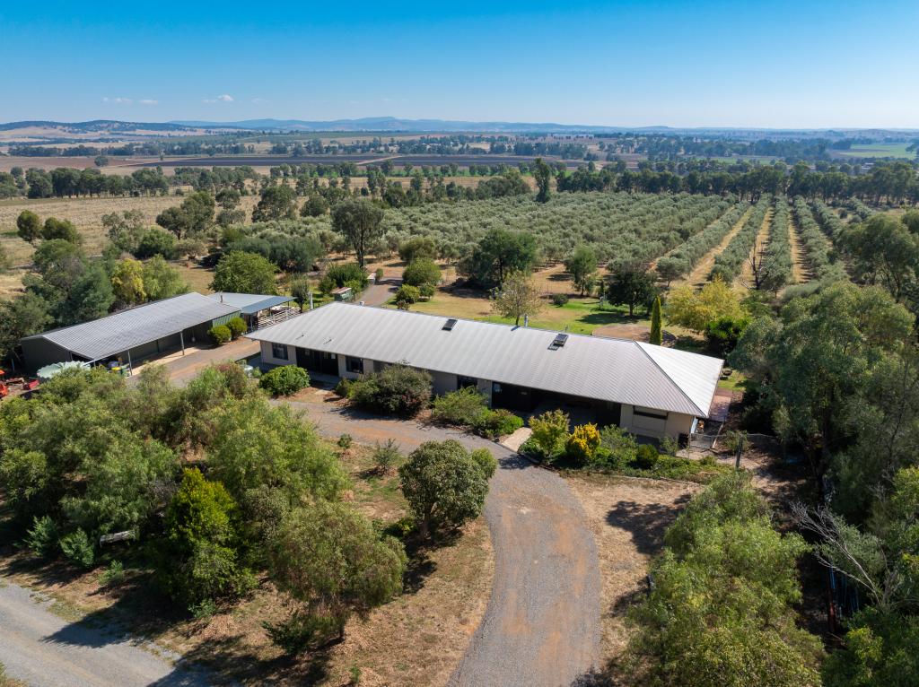 'Kalavista' 20/444 Rivers Rd, Canowindra, NSW 2804