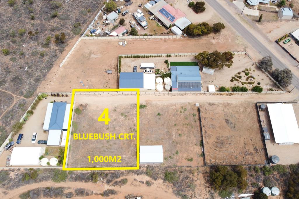 4 Bluebush Ct, Cowell, SA 5602