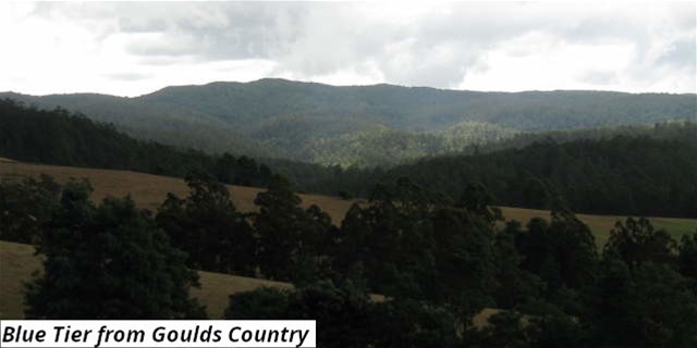 755 Lottah Rd, Lottah, TAS 7216