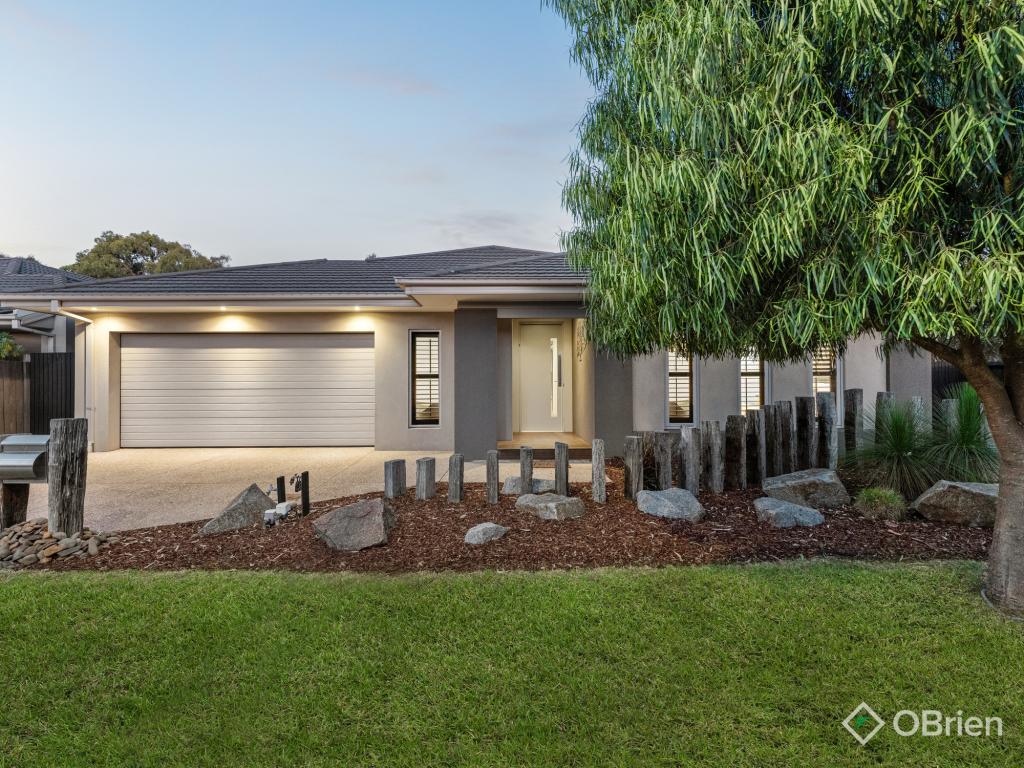 31 Daintree Dr, Sandhurst, VIC 3977