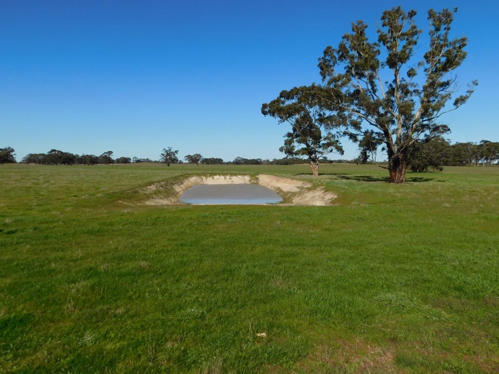 693 Bangham Rd, Bangham, SA 5268