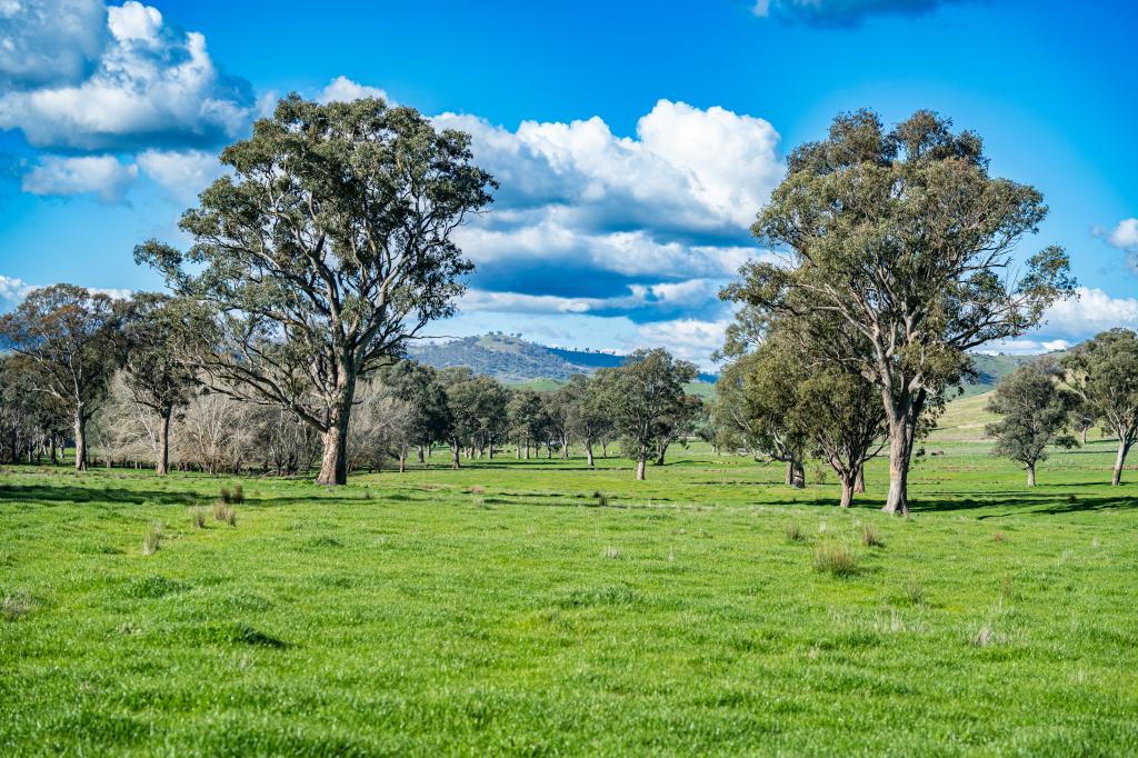2852 Shelley Rd, Walwa, VIC 3709