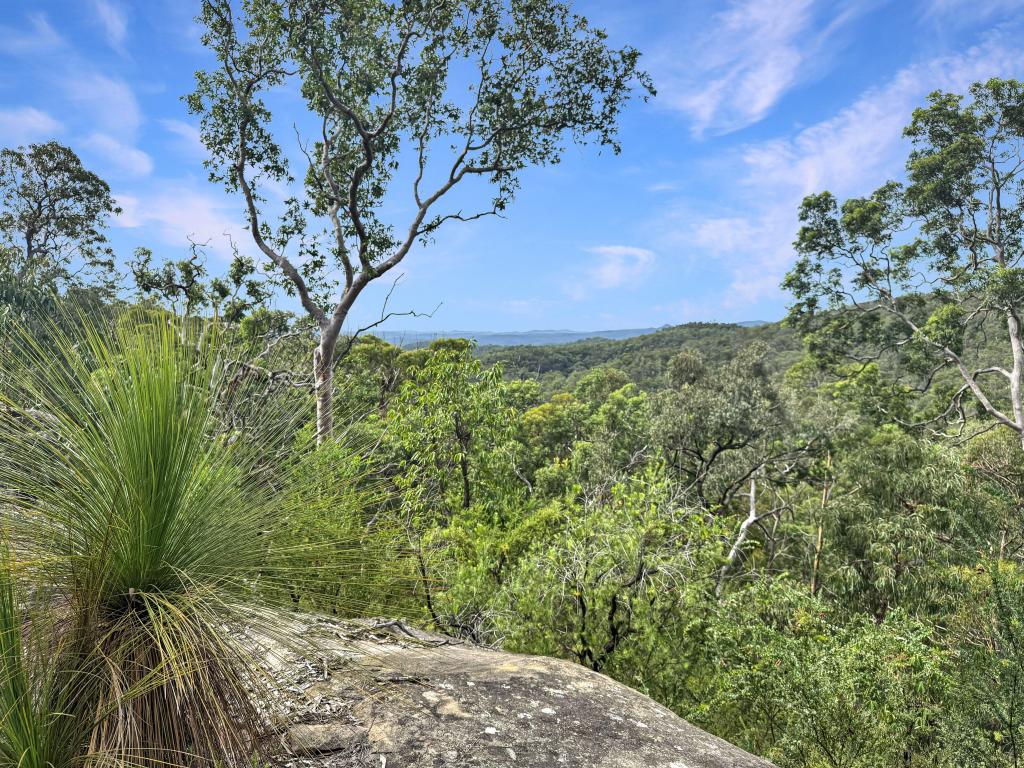 112 Finchley Trk, Laguna, NSW 2325