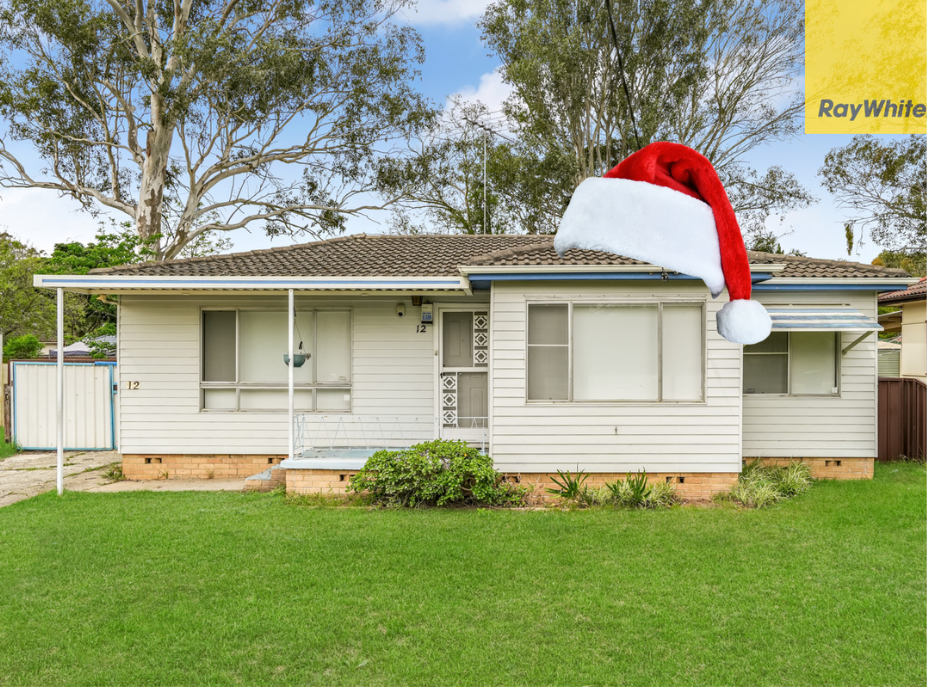 12 Jackaranda Rd, North St Marys, NSW 2760