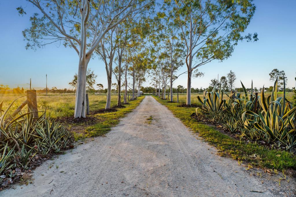 106 South Yaamba Rd, Alton Downs, QLD 4702