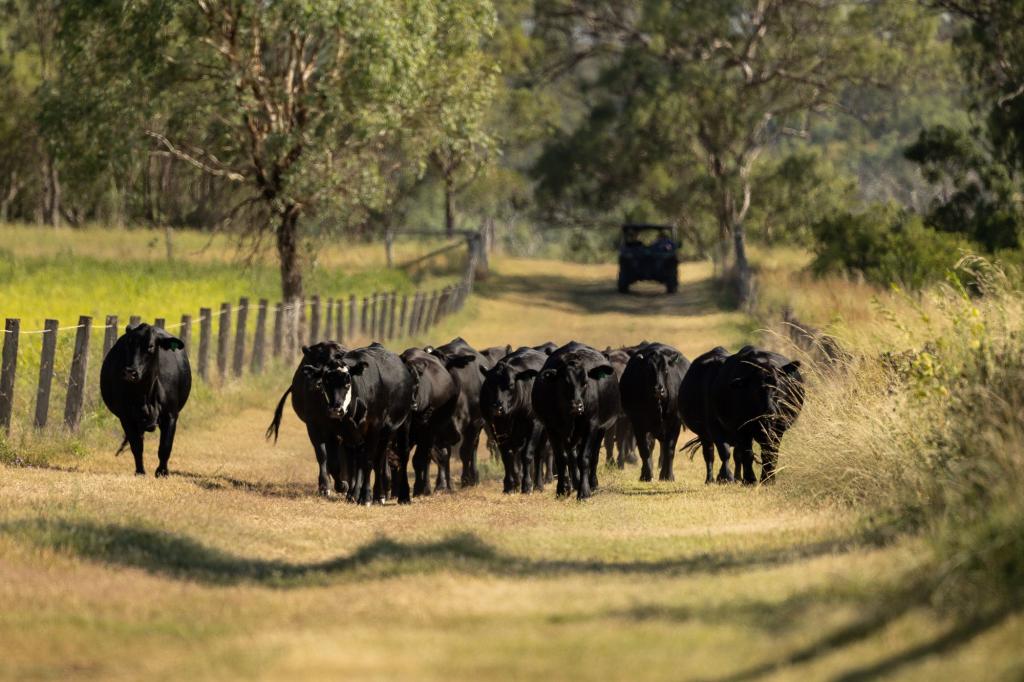 "Hi-View" 299 Hudson Rd, Felton, QLD 4358