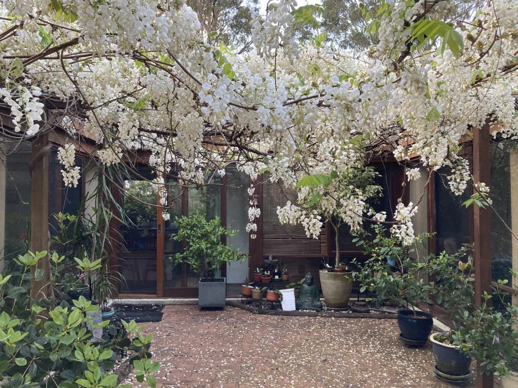 3 SHEARWATER PL, TEA GARDENS, NSW 2324