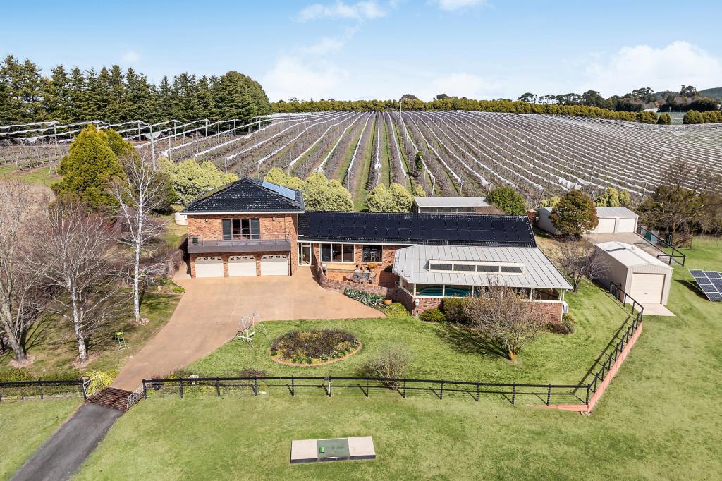 19 Wallace Lane, Canobolas, NSW 2800