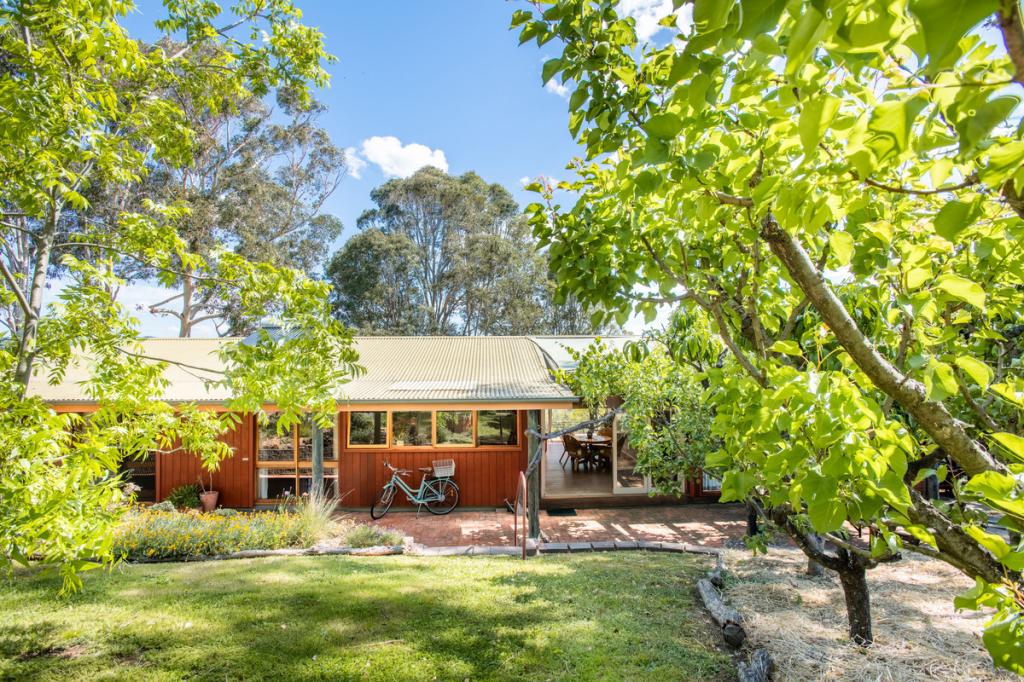33 Kameruka St, Candelo, NSW 2550