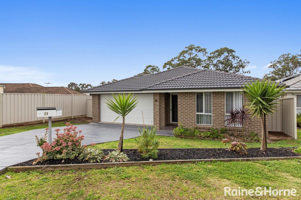 23 Sapphire Dr, Rutherford, NSW 2320